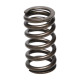 Časti motora Manley Valve Spring MITSUBISHI 4B11T | race-shop.sk