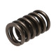 Časti motora Manley Valve Spring 1.250 SINGLE | race-shop.sk