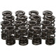 Časti motora Manley Valve Spring/Retainer Kit Honda K20A/Z | race-shop.sk