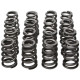 Časti motora Manley Valve Spring/Retainer Kit Subaru WRX/STI | race-shop.sk