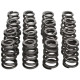 Časti motora Manley Valve Spring/Retainer Kit Subaru WRX/STI | race-shop.sk