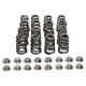 Časti motora Manley Valve Spring/Retainer Kit Subaru WRX/STI | race-shop.sk