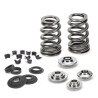 SUPERTECH Valve Spring Kit Ford 2.5 RS / Volvo B5254T4