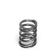 Časti motora SUPERTECH Valve Spring Set Honda D15/16/17 | race-shop.sk