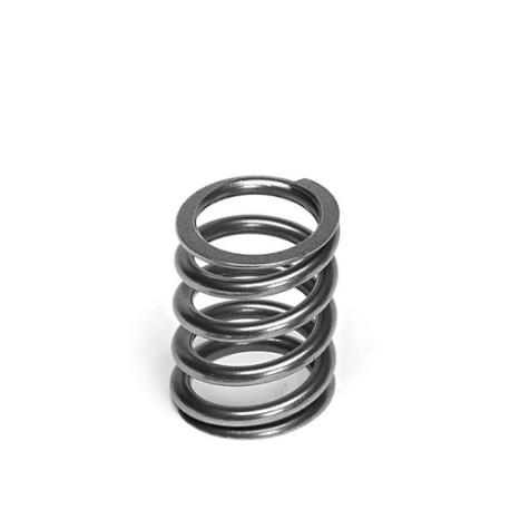 Časti motora SUPERTECH Valve Spring Set Honda K20/D16/F22/R18 | race-shop.sk