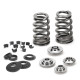 Časti motora SUPERTECH Valve Spring Kit Ford Falcon FXR6 Beehive | race-shop.sk