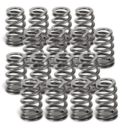 SUPERTECH Valve Spring Set BMW/Mini N14/18 / EP6