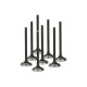Časti motora SUPERTECH Valve Kit Exhaust Honda J32 28.00mm Inconel | race-shop.sk