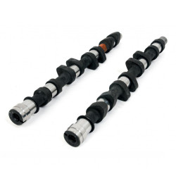 Piper Camshaft Peugeot/Citroen 2.0L 16v EW10J4 Rally