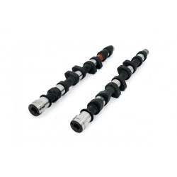 Piper Camshaft Peugeot/Citroen 2.0L 16v XU10J4RS Rally