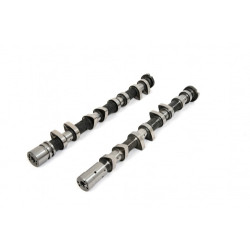 Piper Camshaft Mitsubishi 4B11T Evo 10 Std. Profile