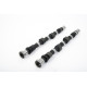 Časti motora Piper Camshaft Nissan 1.6/1.8/2.0L 8v J SERIES Fast Road | race-shop.sk