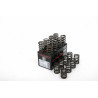 Piper Single Valve Springs Opel C20XE /C20LET