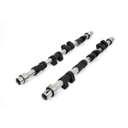 Piper Camshaft Peugeot/Citroen 1.9L 16v XU9J4 Rally