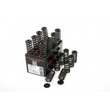 Časti motora Piper Single Valve Spring Kit Ford 1.6L Ecoboost | race-shop.sk