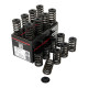 Časti motora PIPER CAMS sada ventilových pružín pre Ford 2.0L EcoBoost (jednoduché) | race-shop.sk