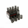 Piper Single Valve Springs Rover K Series 16v