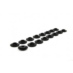 Piper Spring Caps Ford 2.0L 16v ST170