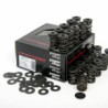 Piper Single Valve Spring Kit Ford 1.3L/1.6L CVH XR2/XR3i/RS