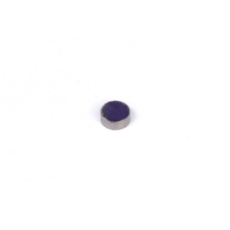 Haltech Haltech Rare Earth Magnets (5mm DIA x 2mm H) | race-shop.sk