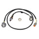 Haltech Haltech NTK Wideband hardware pack | race-shop.sk
