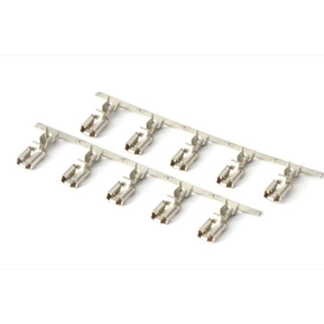 Haltech Haltech Pins only Suit Relays only in the 6 Circuit Fuse Box | race-shop.sk