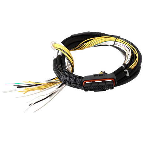 Haltech Haltech HPI8 - High Power Igniter - 2m Flying Lead Loom Only | race-shop.sk