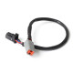 Haltech Haltech Elite CAN Cable DTM-4 - 8 pin Blk Tyco 300mm (12") | race-shop.sk