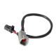 Haltech Haltech CAN Ada Cable DTM-4 F to 8 pin Black Tyco 75mm (3") | race-shop.sk