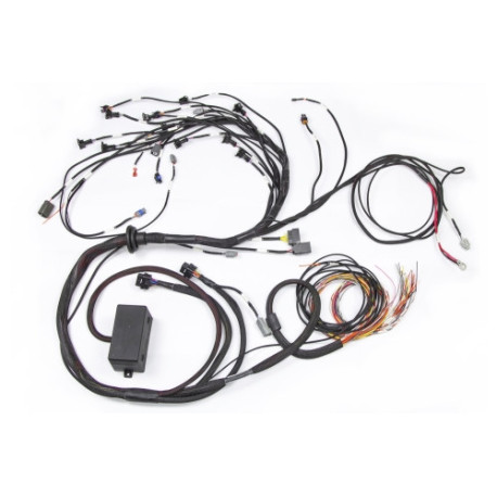 Haltech Haltech E2000/2500 RB Terminated Engine Harness Only | race-shop.sk