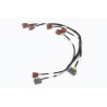 Haltech Elite 2000/2500 Twin CAM RB30/26/25/20 External Fact
