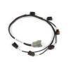 Haltech Elite 2000/2500 Ford Barra 4.0 BA/BF Ignition Harn