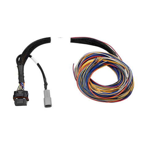 Haltech Haltech Elite PRO Direct Plug-in Auxiliary Flying Lead Harn | race-shop.sk