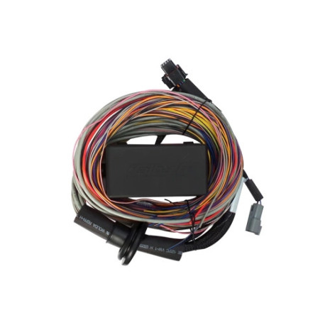 Haltech Haltech Elite 550 Premium Universal Wire-in Harness 2.5m (8` | race-shop.sk