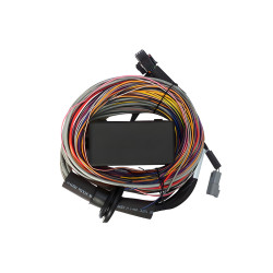 Haltech Elite 750 Premium Uni Wire-in Harness 2.5m (8`)