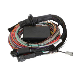 Haltech Elite 1500 2.5m (8 ft) Premium Uni Wire-in Harn Only