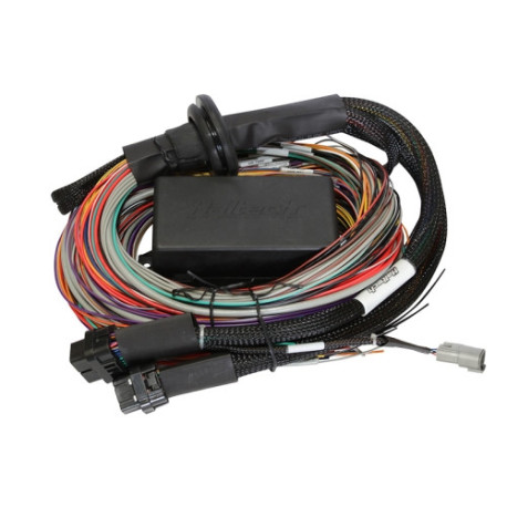 Haltech Haltech Elite 1500 2.5m (8 ft) Premium Uni Wire-in Harn Only | race-shop.sk