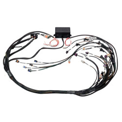 Haltech Elite 2000/2500 GM GEN IV LS2 non DBW Term Harn Only