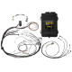 Haltech Haltech Elite 1500 Maz 13B S4/5 Term Harn Kit IGN-1A ign har | race-shop.sk