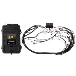 Haltech Elite 2500 GM GEN IV LS2 DBW Ready Term Harn Kit EV1
