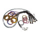 Haltech Haltech Nexus R5 Basic Universal Wire-In harness- 5M (16`) | race-shop.sk