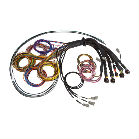 Haltech Haltech Nexus R5 Basic Universal Wire-In harness- 5M (16`) | race-shop.sk