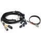 Haltech Haltech Nexus V8 IGN-1A GM/Chrysler Harness | race-shop.sk