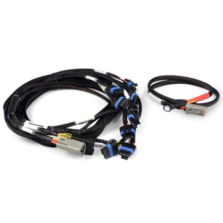 Haltech Haltech Nexus V8 IGN-1A Ford Harness | race-shop.sk