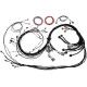 Haltech Haltech Uni V8 Term Engine Harness for Nexus R5 VCU | race-shop.sk