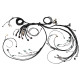Haltech Haltech Nexus R5 LSx DBW Terminated Harness | race-shop.sk
