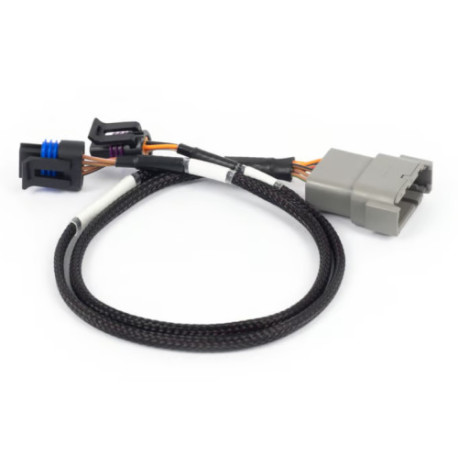 Haltech Haltech Nexus Rebel LS - Cable Throttle + IAC Sub Harness | race-shop.sk