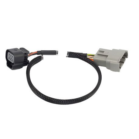 Haltech Haltech Nexus Rebel LS - 6-pin DBW Adaptor | race-shop.sk
