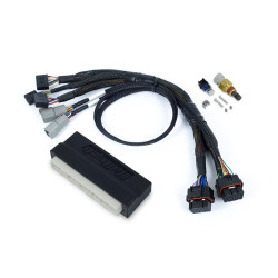 Haltech Nexus S2/S3 Plug `n` Play Adapter Harness Honda EP3