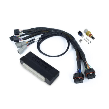 Haltech Haltech Nexus S3 PnP Adaptor Harness Subaru WRX MY06-10 | race-shop.sk